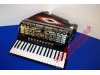 Gabbanelli 37 key 96 bass Accordion